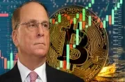 Larry Fink: Bitcoin is an Asset Class